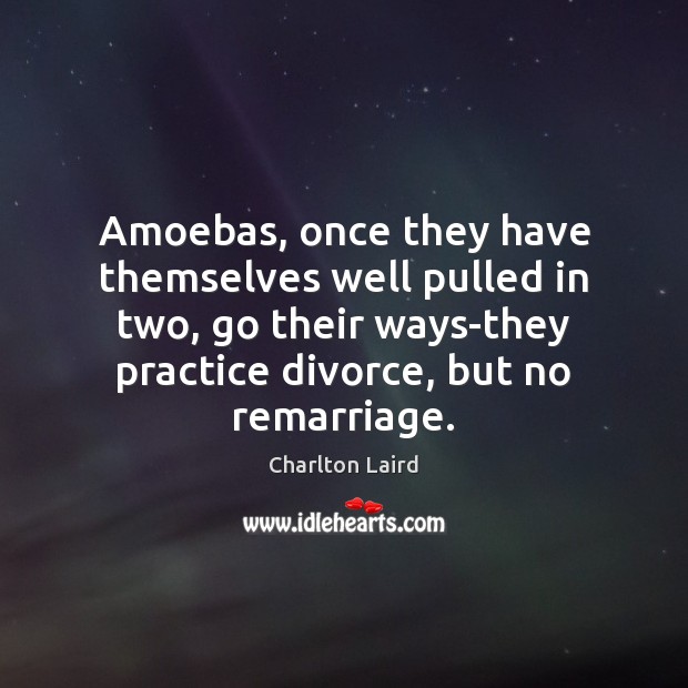 Amoebas, once they have themselves well pulled in two, go their ways-they Charlton Laird Picture Quote