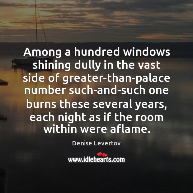 Among a hundred windows shining dully in the vast side of greater-than-palace Denise Levertov Picture Quote
