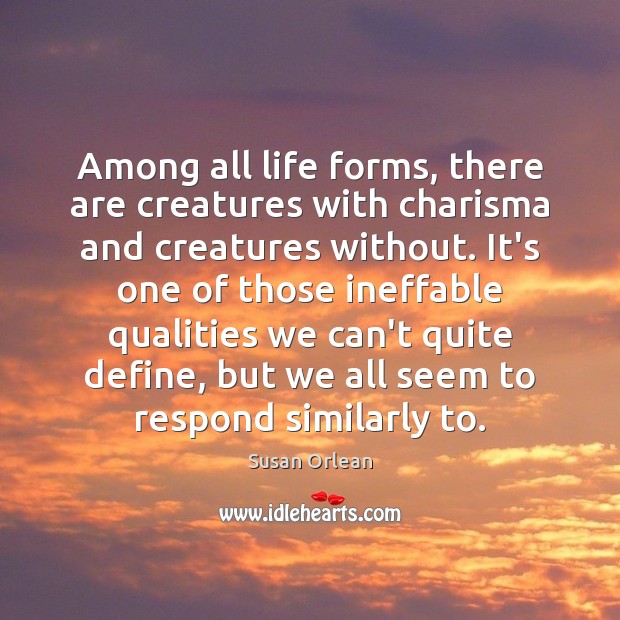 Among all life forms, there are creatures with charisma and creatures without. Image