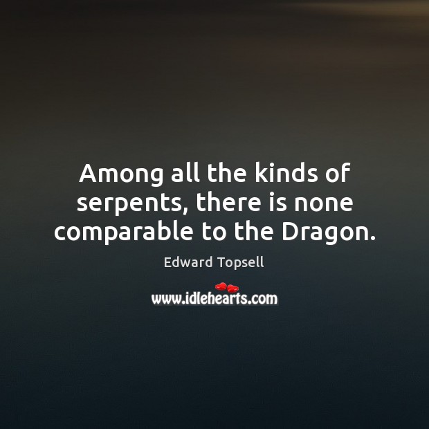 Among all the kinds of serpents, there is none comparable to the Dragon. Edward Topsell Picture Quote