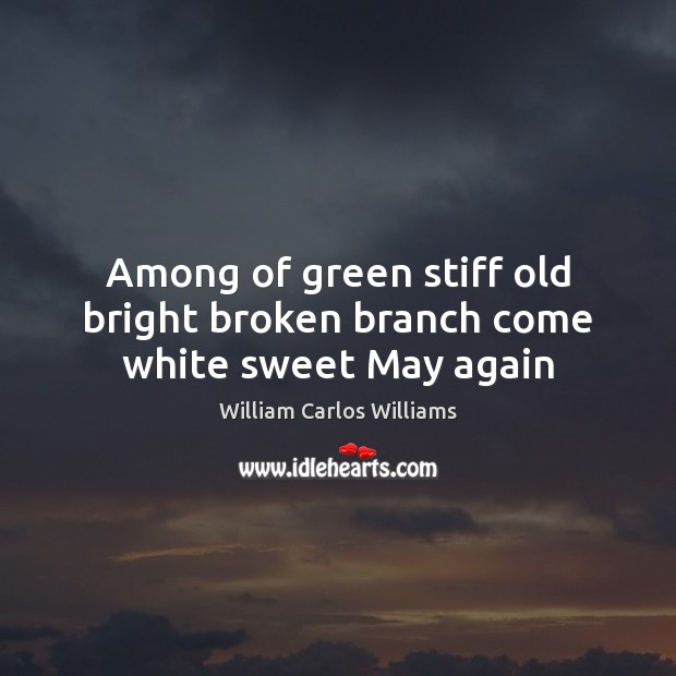 Among of green stiff old bright broken branch come white sweet May again William Carlos Williams Picture Quote