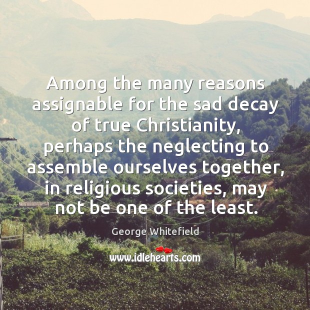 Among the many reasons assignable for the sad decay of true christianity George Whitefield Picture Quote