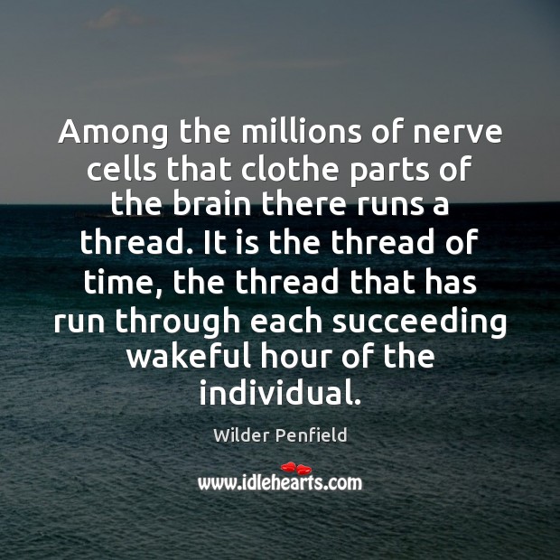Among the millions of nerve cells that clothe parts of the brain Wilder Penfield Picture Quote