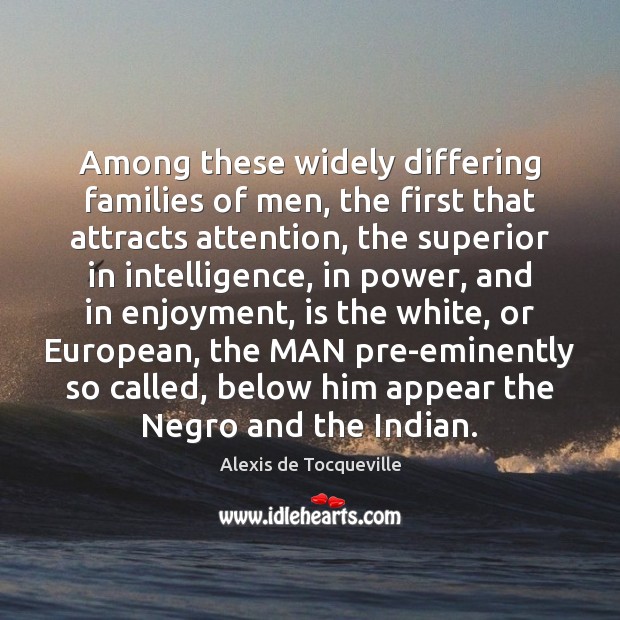 Among these widely differing families of men, the first that attracts attention, Alexis de Tocqueville Picture Quote