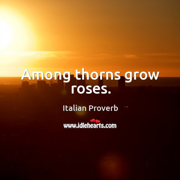 Among thorns grow roses. Image