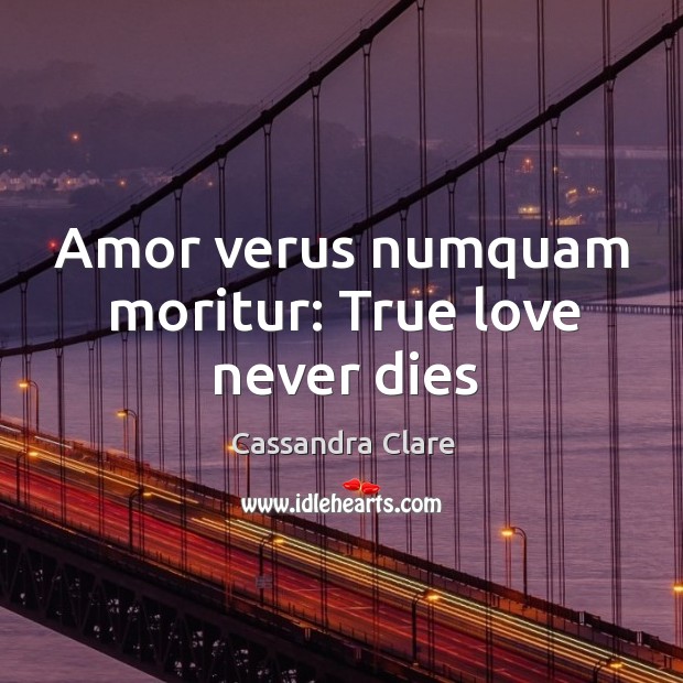 Amor verus numquam moritur: True love never dies True Love Quotes Image