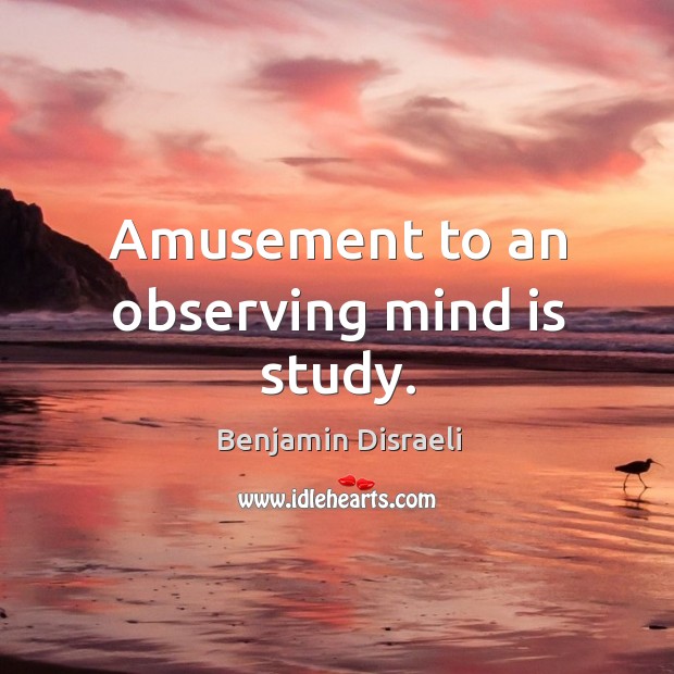 Amusement to an observing mind is study. Image