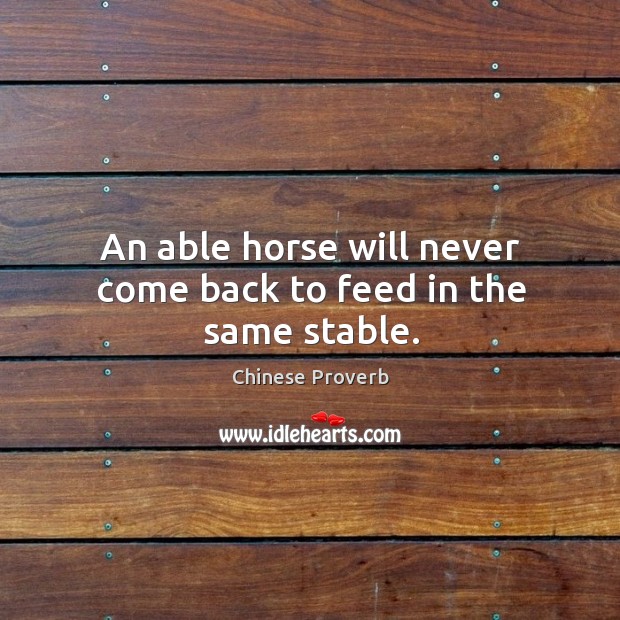 An able horse will never come back to feed in the same stable. Chinese Proverbs Image