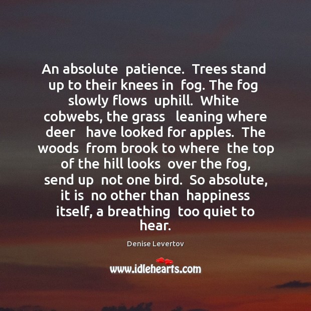 An absolute  patience.  Trees stand  up to their knees in  fog. The Denise Levertov Picture Quote