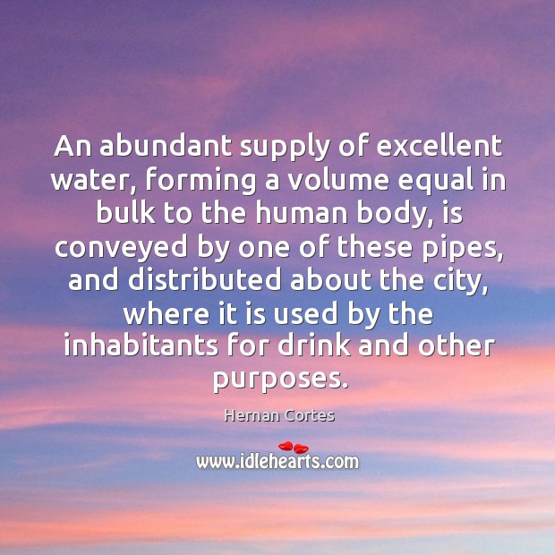 An abundant supply of excellent water, forming a volume equal in bulk to the human body Hernan Cortes Picture Quote