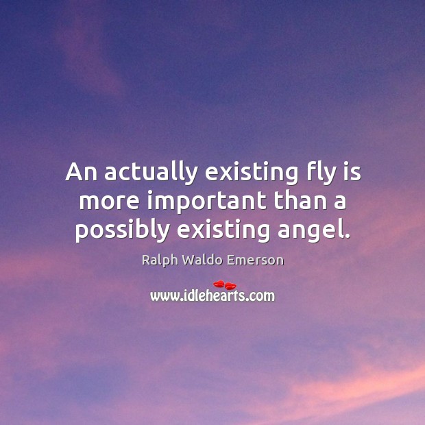 An actually existing fly is more important than a possibly existing angel. Ralph Waldo Emerson Picture Quote