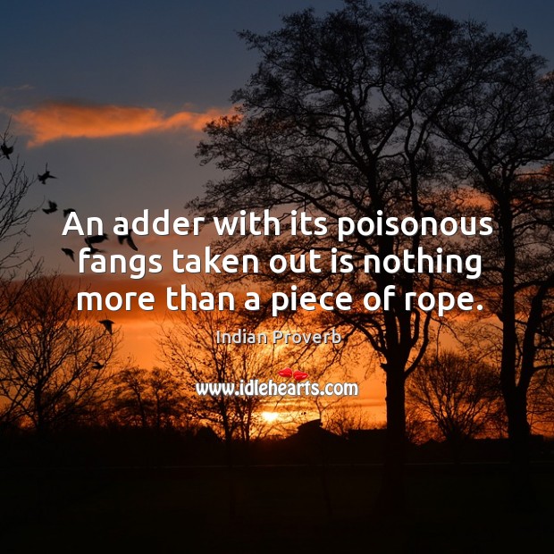 An adder with its poisonous fangs taken out is nothing more than a piece of rope. Indian Proverbs Image