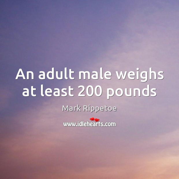 An adult male weighs at least 200 pounds Mark Rippetoe Picture Quote