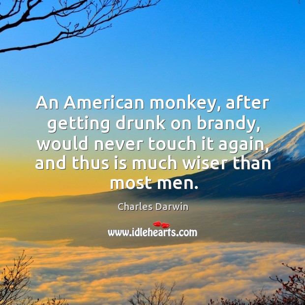 An american monkey, after getting drunk on brandy, would never touch it again Image