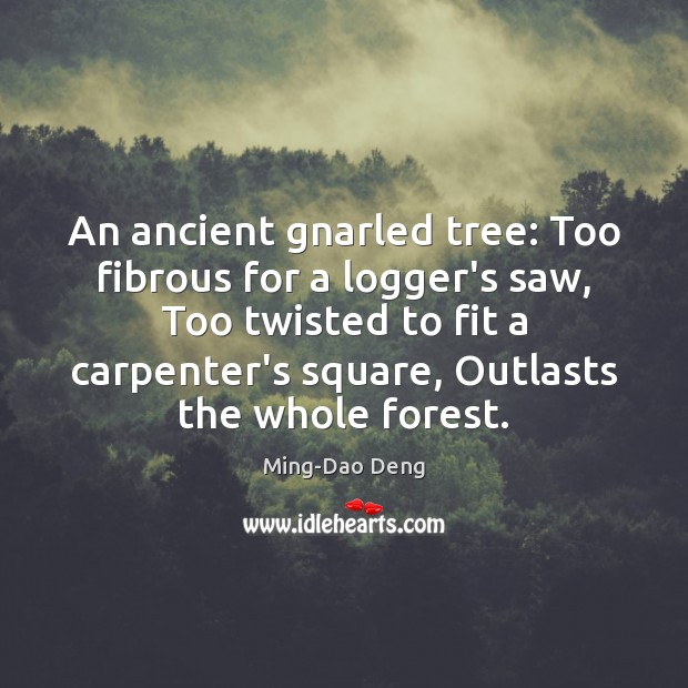 An ancient gnarled tree: Too fibrous for a logger’s saw, Too twisted Ming-Dao Deng Picture Quote