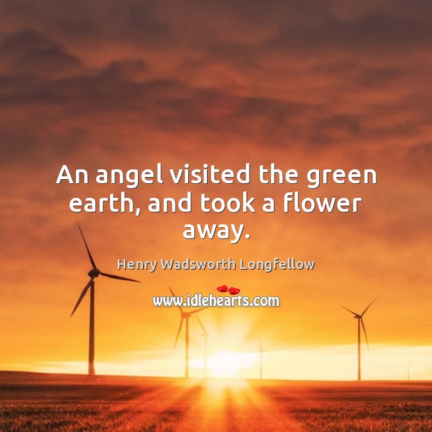 An angel visited the green earth, and took a flower away. Image