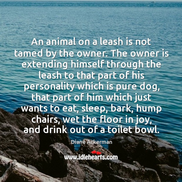 An animal on a leash is not tamed by the owner. The Diane Ackerman Picture Quote
