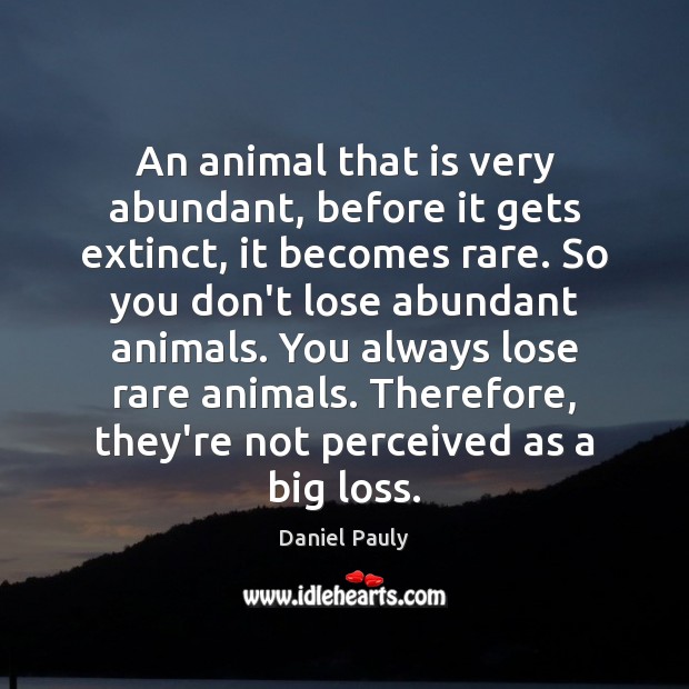 An animal that is very abundant, before it gets extinct, it becomes Daniel Pauly Picture Quote