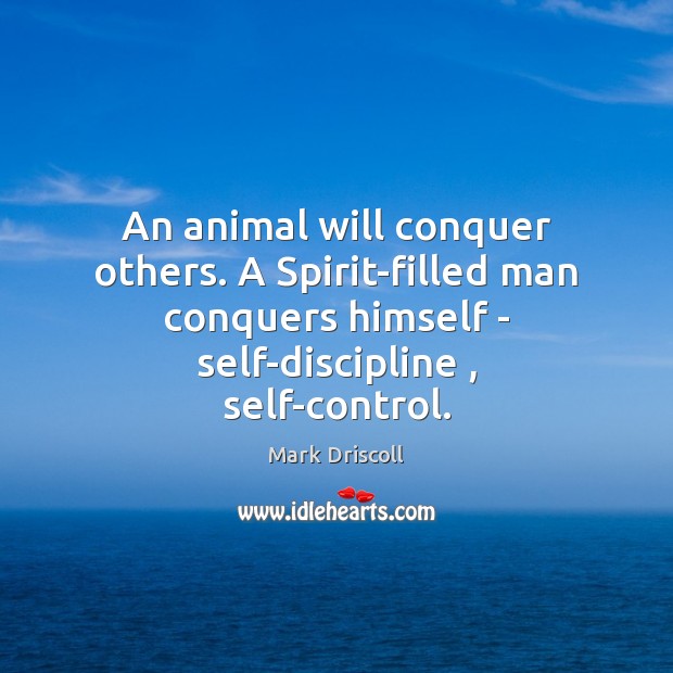 An animal will conquer others. A Spirit-filled man conquers himself – self-discipline , Mark Driscoll Picture Quote