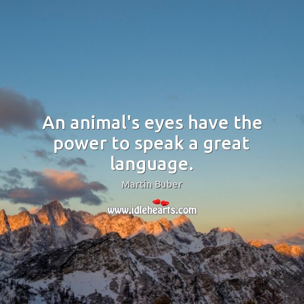 An animal’s eyes have the power to speak a great language. Martin Buber Picture Quote