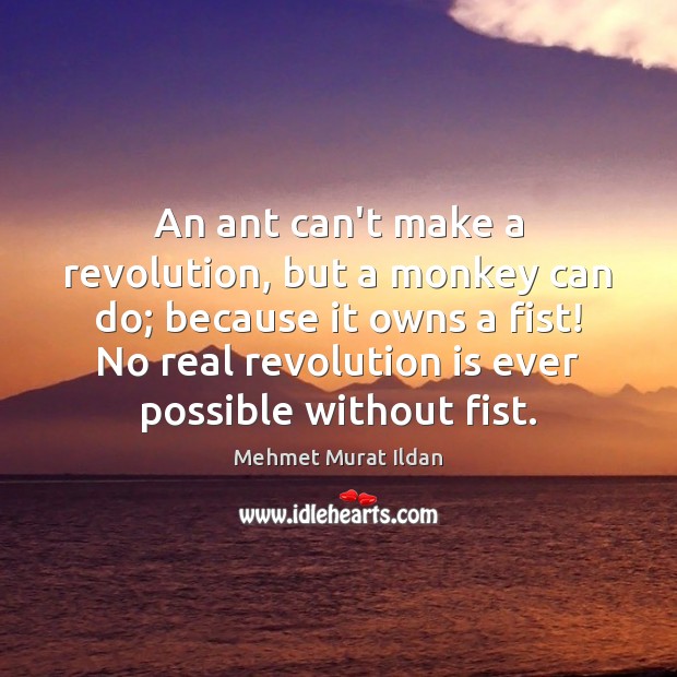 An ant can’t make a revolution, but a monkey can do; because Mehmet Murat Ildan Picture Quote
