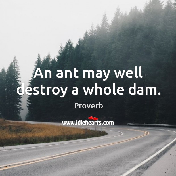 An ant may well destroy a whole dam. Image