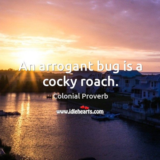 An arrogant bug is a cocky roach. Colonial Proverbs Image