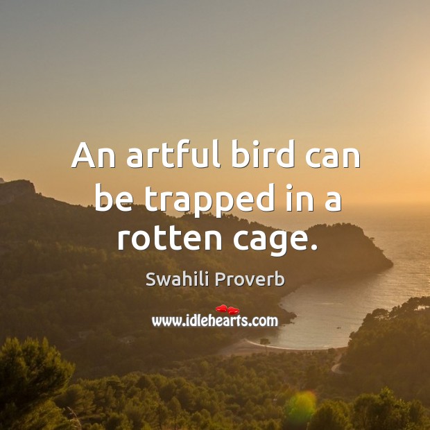 An artful bird can be trapped in a rotten cage. Swahili Proverbs Image