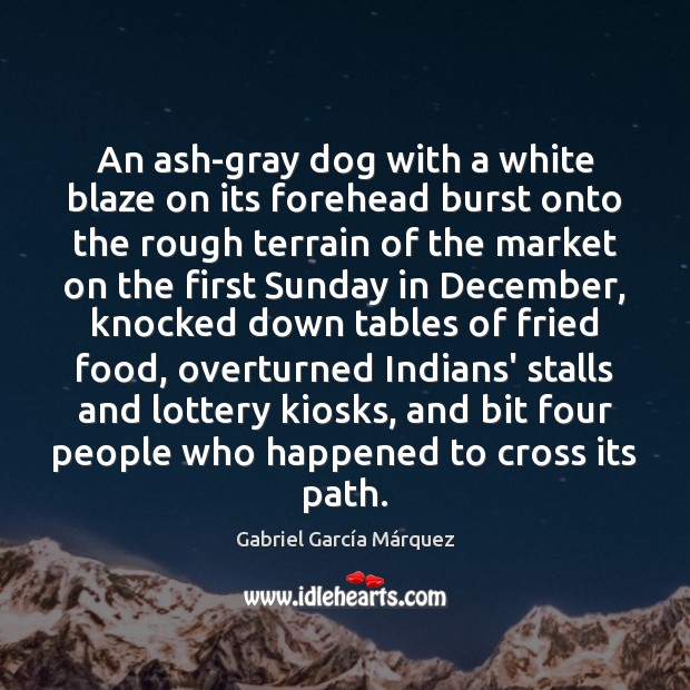 An ash-gray dog with a white blaze on its forehead burst onto Gabriel García Márquez Picture Quote