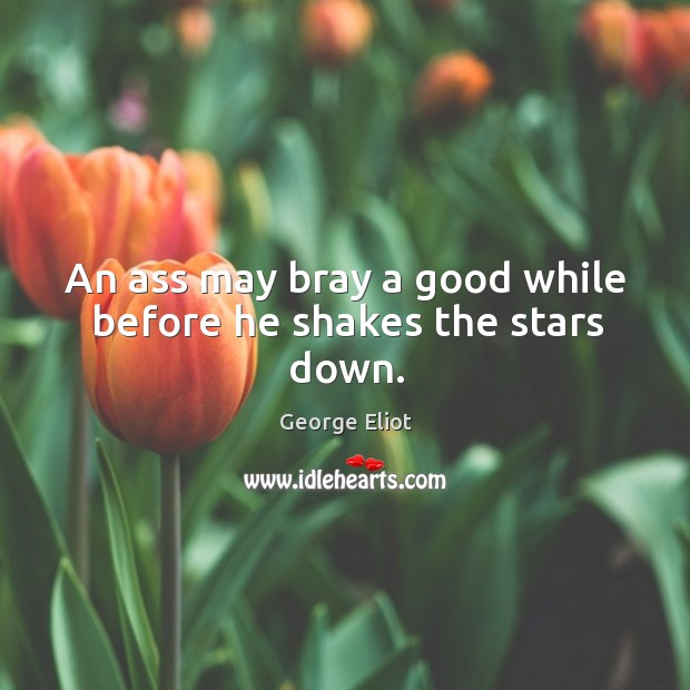 An ass may bray a good while before he shakes the stars down. Image