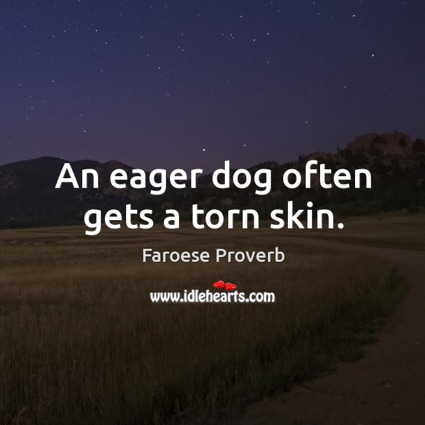 An eager dog often gets a torn skin. Faroese Proverbs Image