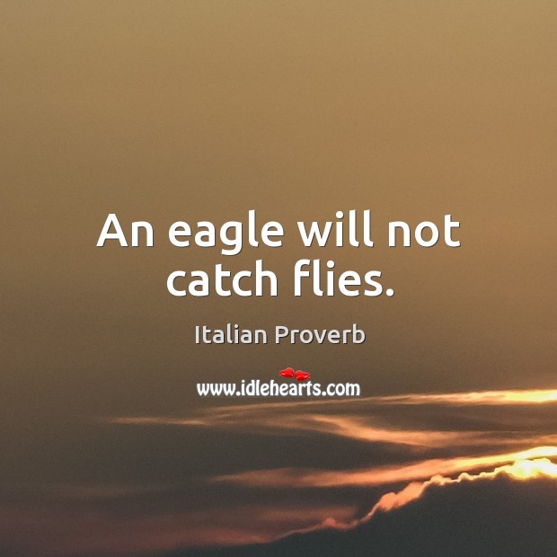 An eagle will not catch flies. Image