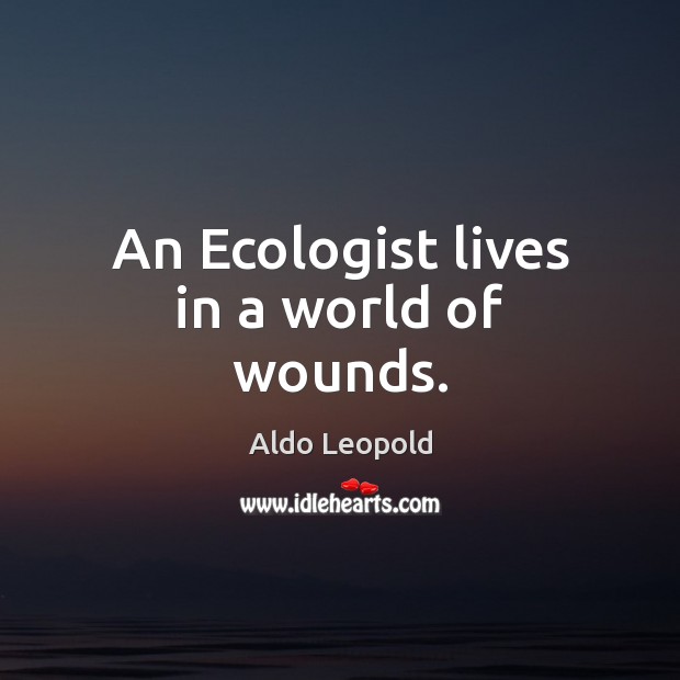 An Ecologist lives in a world of wounds. Aldo Leopold Picture Quote
