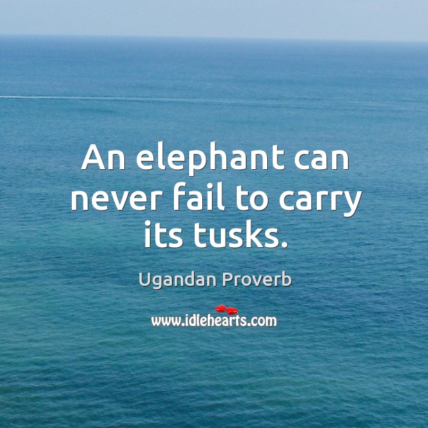 An elephant can never fail to carry its tusks. Ugandan Proverbs Image