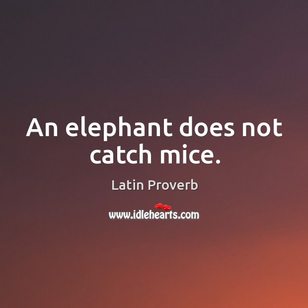 An elephant does not catch mice. Latin Proverbs Image