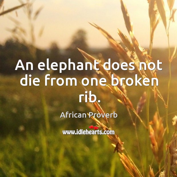 An elephant does not die from one broken rib. Image