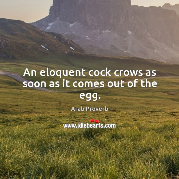 An eloquent cock crows as soon as it comes out of the egg. Arab Proverbs Image