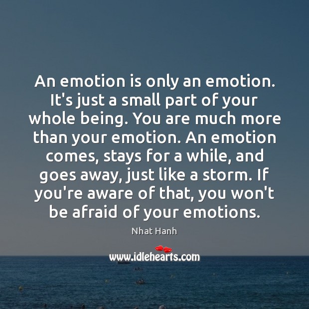 An emotion is only an emotion. It’s just a small part of Nhat Hanh Picture Quote