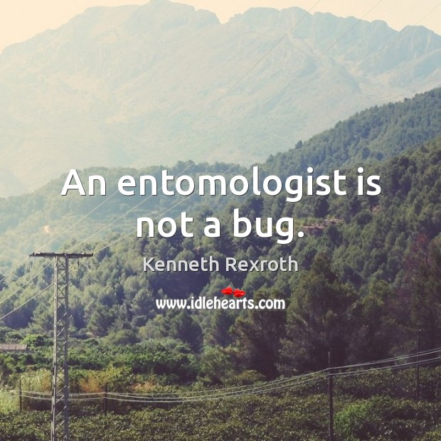 An entomologist is not a bug. Kenneth Rexroth Picture Quote