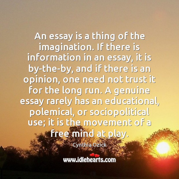 An essay is a thing of the imagination. If there is information Image