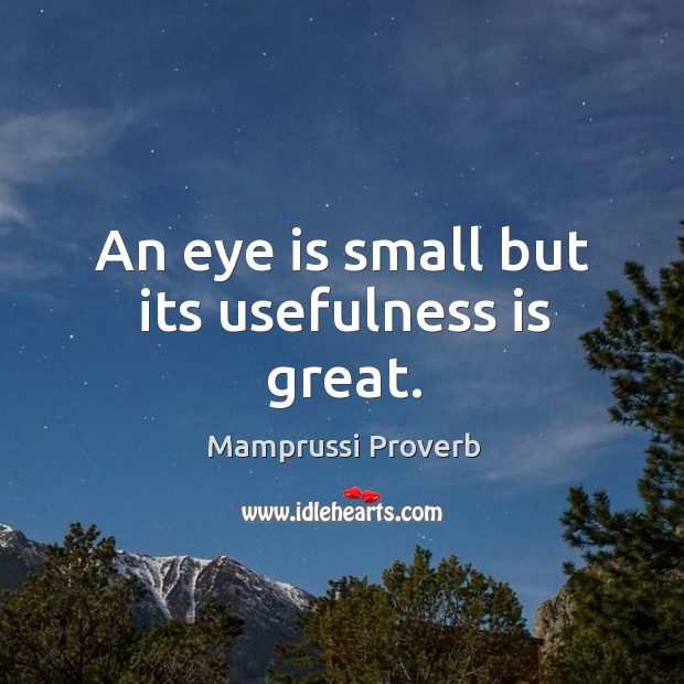 An eye is small but its usefulness is great. Image