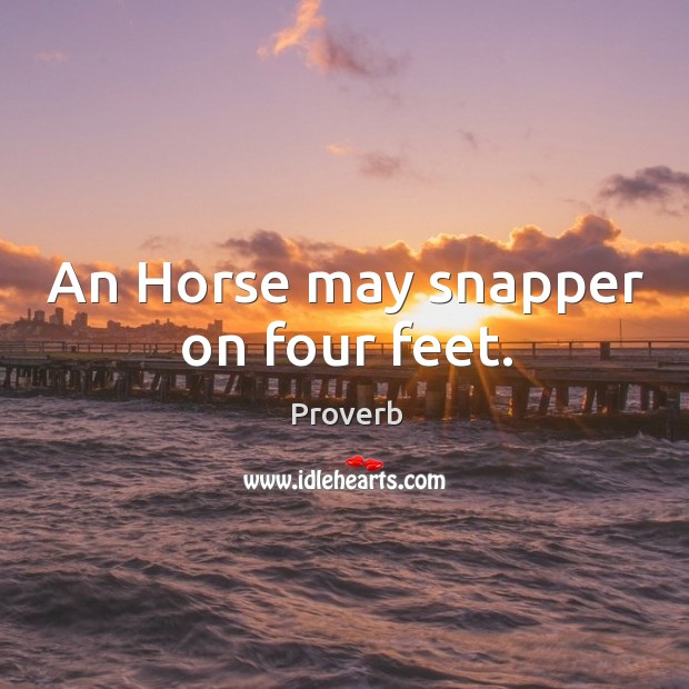 An horse may snapper on four feet. Image