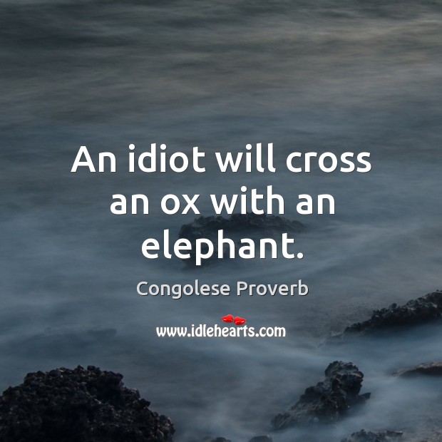 An idiot will cross an ox with an elephant. Congolese Proverbs Image