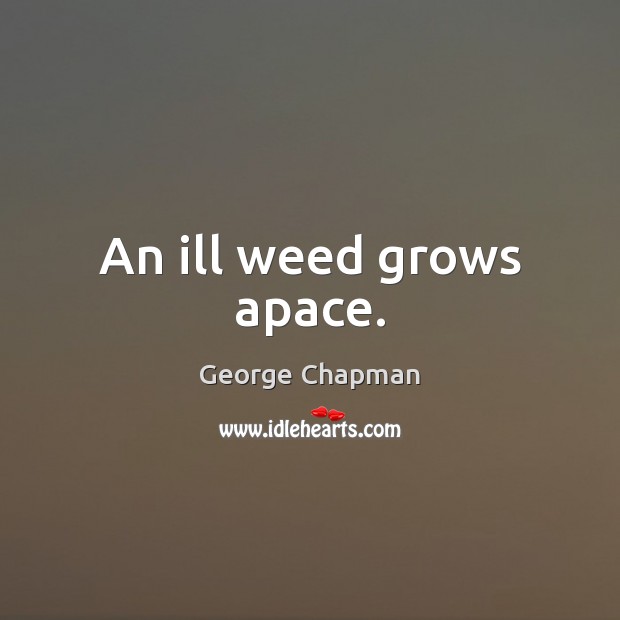 An ill weed grows apace. George Chapman Picture Quote