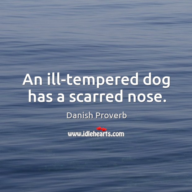 An ill-tempered dog has a scarred nose. Danish Proverbs Image