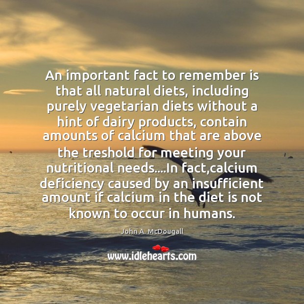 An important fact to remember is that all natural diets, including purely Diet Quotes Image