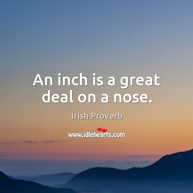 An inch is a great deal on a nose. Irish Proverbs Image
