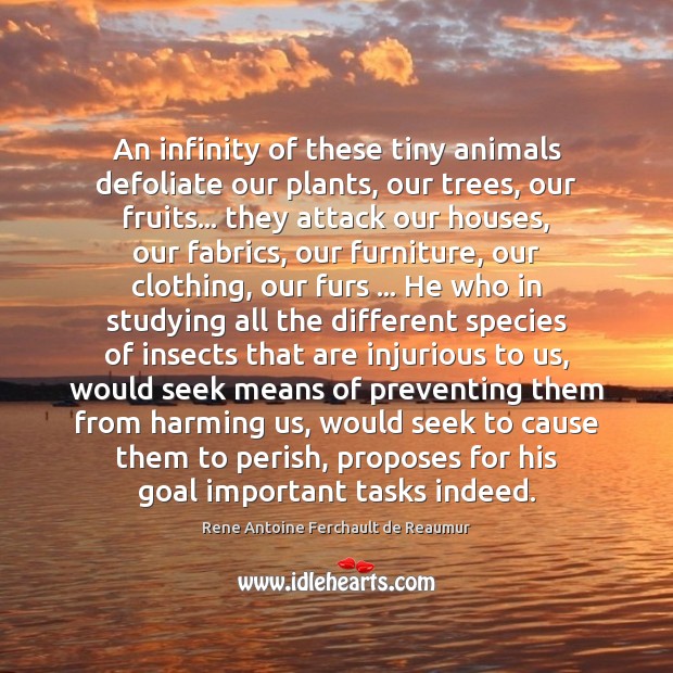 An infinity of these tiny animals defoliate our plants, our trees, our 