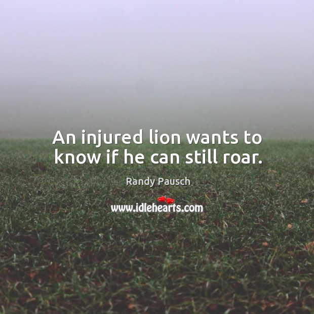 An injured lion wants to know if he can still roar. Image