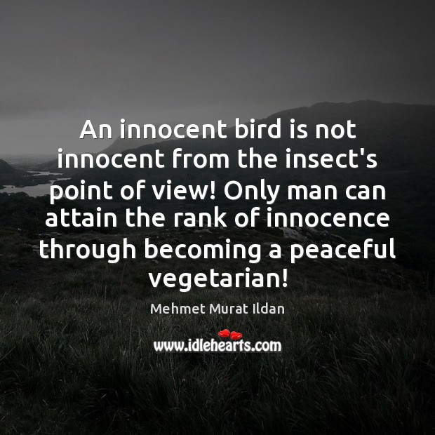 An innocent bird is not innocent from the insect’s point of view! Image